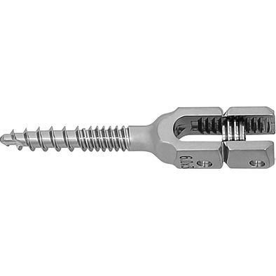 Femoral Tuberosity Intramedullary Nail factory